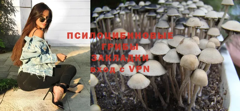 Псилоцибиновые грибы Magic Shrooms Белая Калитва