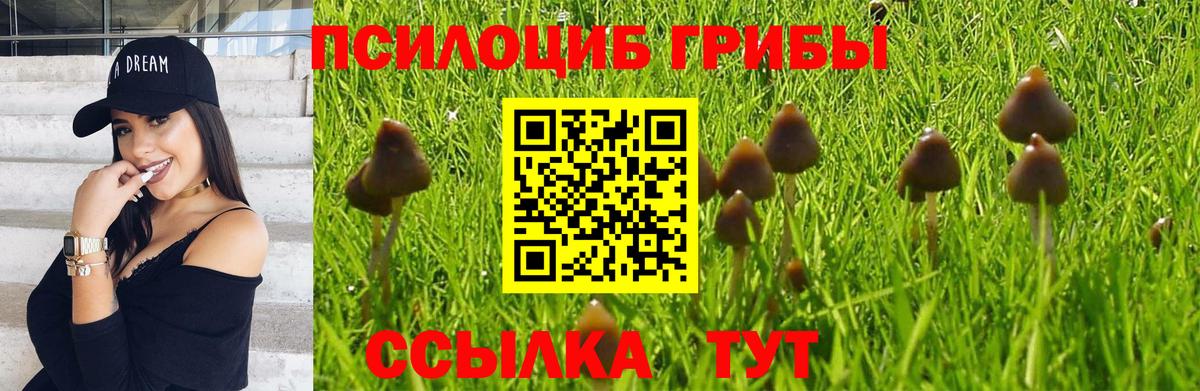 Псилоцибиновые грибы Magic Shrooms  Белая Калитва 