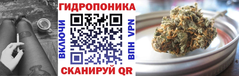 Конопля сатива Белая Калитва